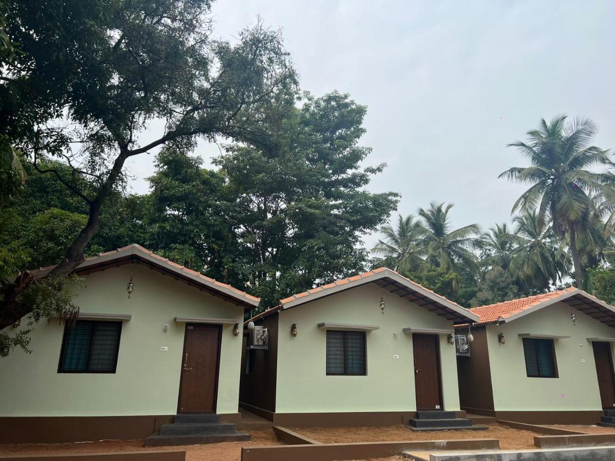 Leo Wodden Resort Hampi Dış mekan fotoğraf