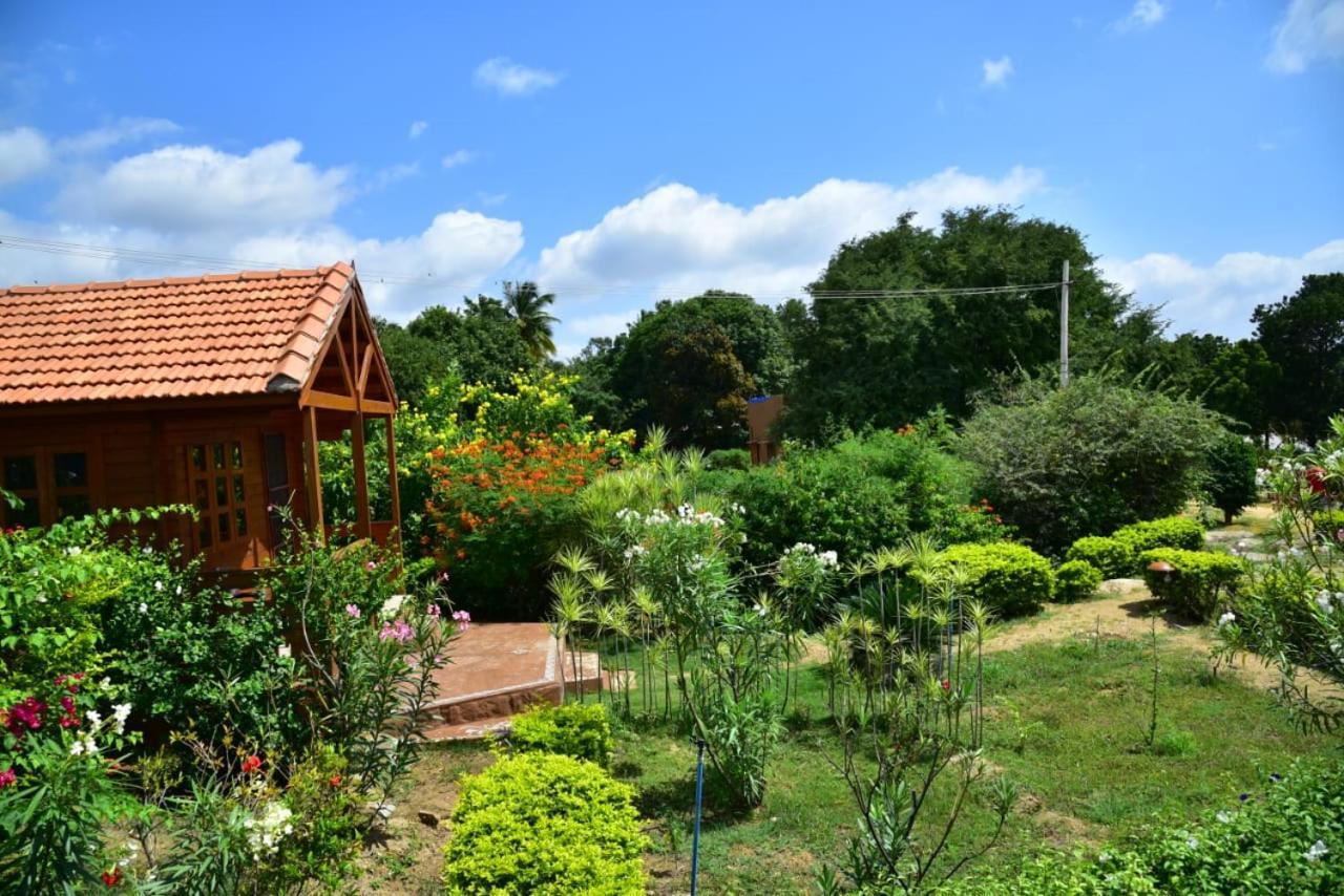 Leo Wodden Resort Hampi Dış mekan fotoğraf